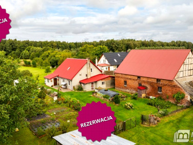 Dom Wysoka Kamieńska