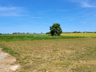 Działka budowlana Żelistrzewo