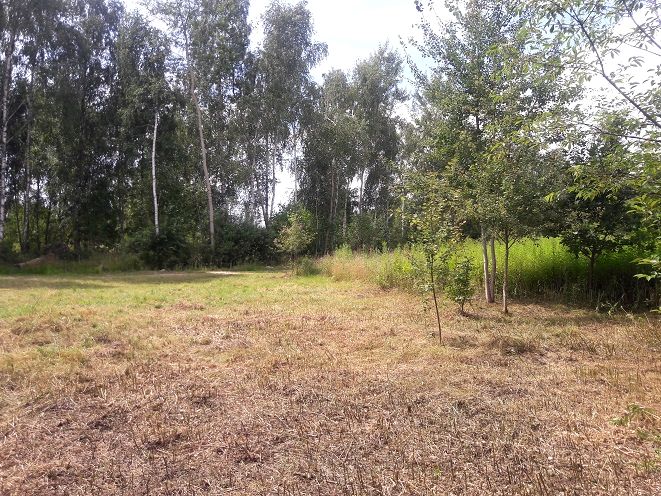 Działka budowlana Józefin