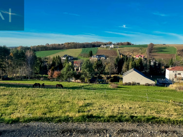 Pusta działka Nowa Wieś