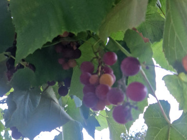 Mieszkanie Piaseczno sprzedaż