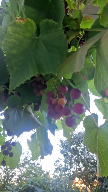 Mieszkanie Piaseczno sprzedaż