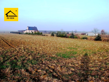 Działka budowlana Dziuchów