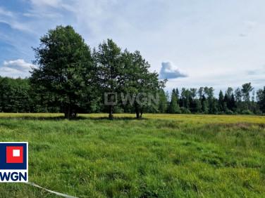 Działka siedliskowa Krzywczyce