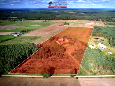 Dom Jędrzejewo sprzedaż