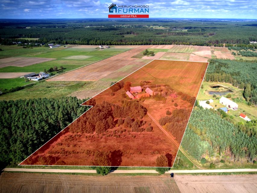 Dom Jędrzejewo sprzedaż