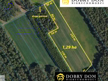 Działka rolna Dobrzyniewo Duże