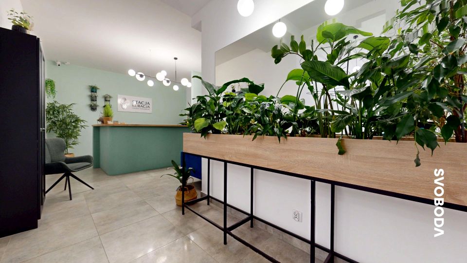 Lokal Gorzów Wielkopolski