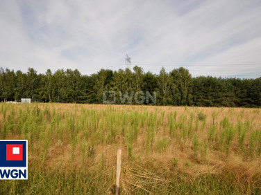 Działka budowlana Dobryszyce