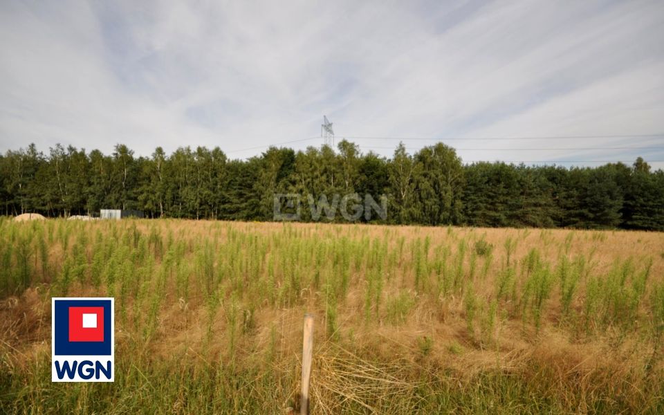 Działka budowlana Dobryszyce