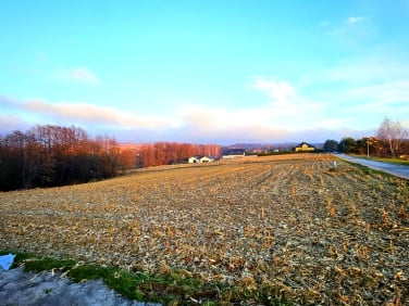 Działka budowlana Nowodworze