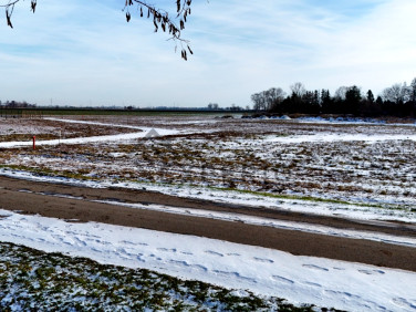 Działka budowlana Domaniów