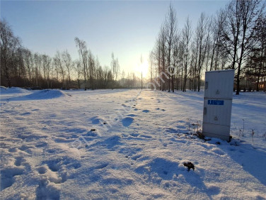 Działka Budy-Grzybek