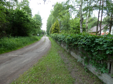 Zalesiona działka Blachownia