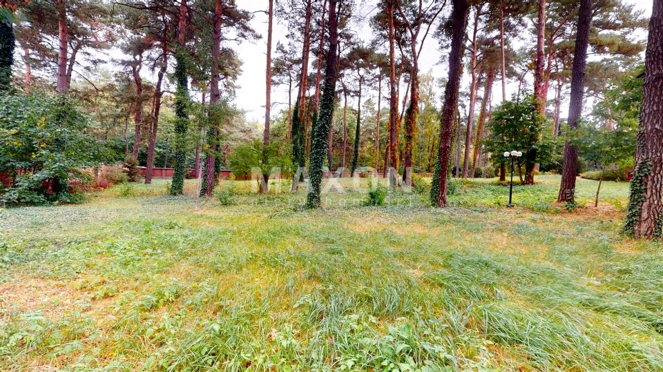 Działka usługowa Lesznowola