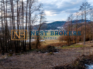 Działka budowlana Roztoka-Brzeziny