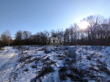 Działka budowlana Oborniki Śląskie