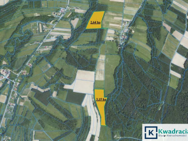 Działka leśna Wolica