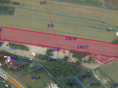 Działka rolna Wielka Wieś