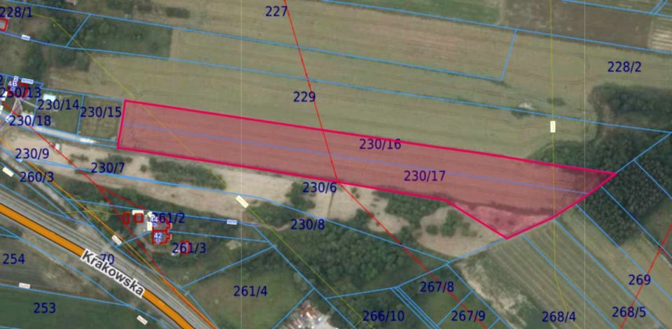 Działka rolna Wielka Wieś