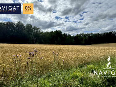 Działka rekreacyjna Kielno