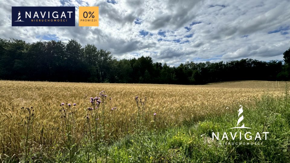 Działka rekreacyjna Kielno