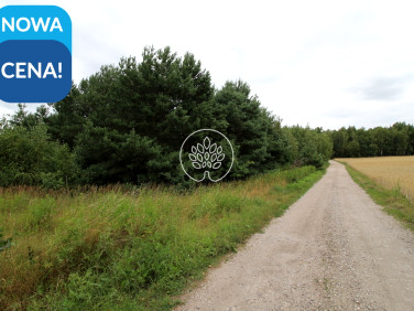 Działka budowlana Zławieś Wielka