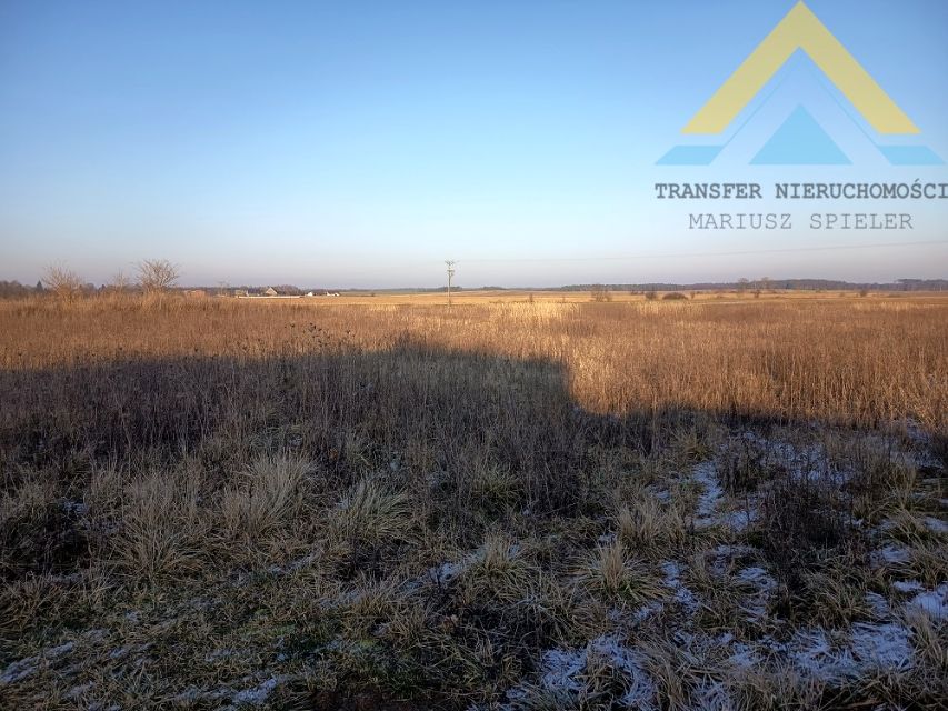 Działka siedliskowa Sulino