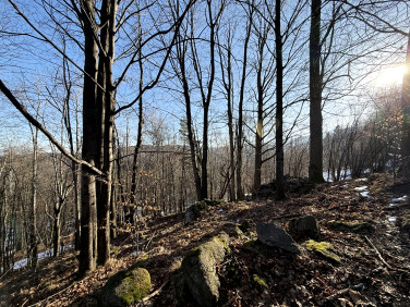 Działka budowlana Przesieka