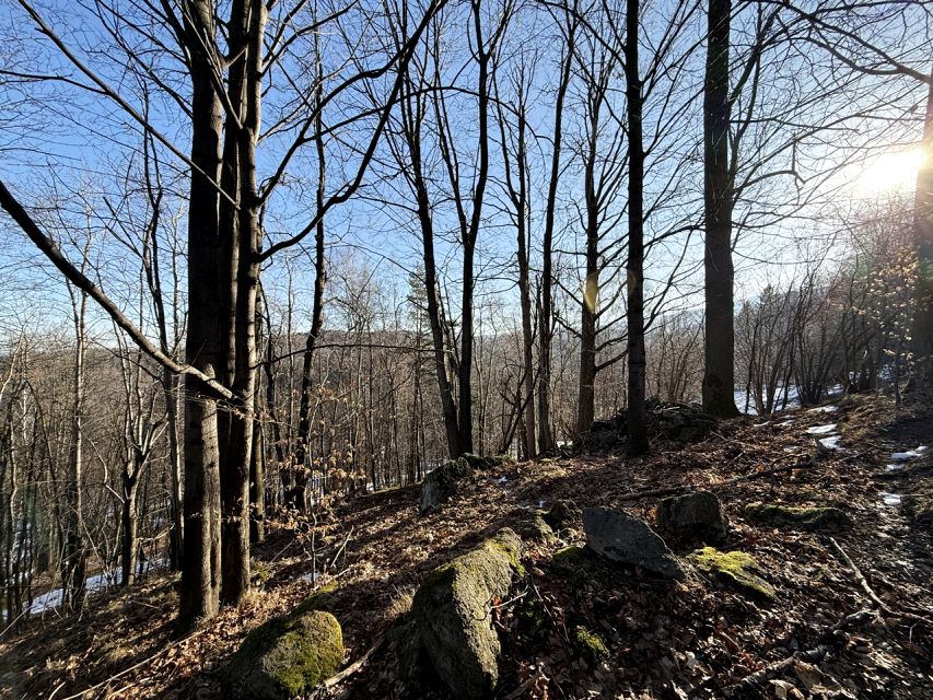 Działka budowlana Przesieka