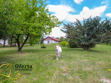 Działka Stara Wieś