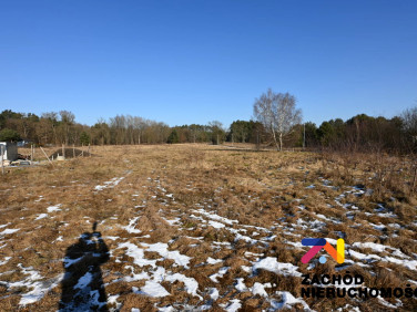 Działka budowlana Zielona Góra