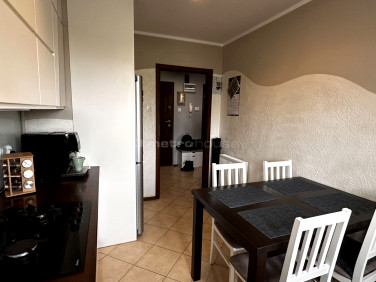 Mieszkanie Biała Podlaska sprzedaż