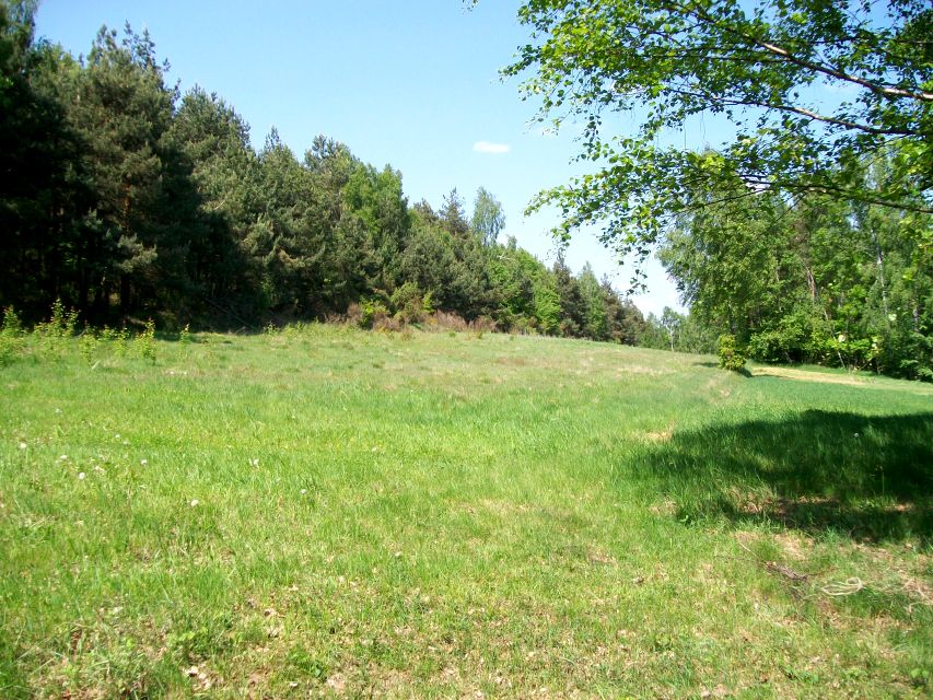 Działka inna Zrębice