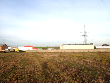 Działka budowlana Kościan