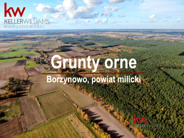 Działka rolna Borzynowo
