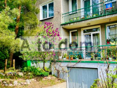 Działka budowlana Wołomin