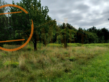 Działka budowlana Wiejca