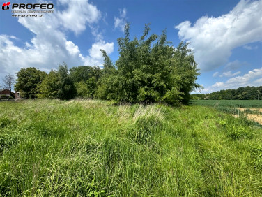 Działka budowlana Hecznarowice