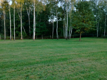 Działka budowlana Pyskowice