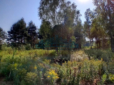 Działka budowlana Izabelin-Dziekanówek