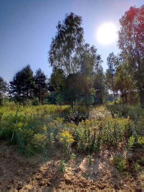 Działka budowlana Izabelin-Dziekanówek