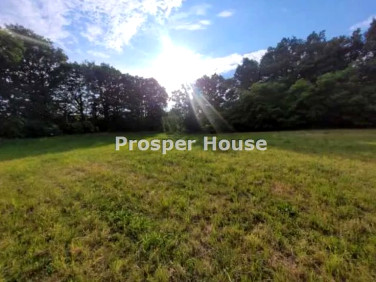 Pusta działka Warszawa