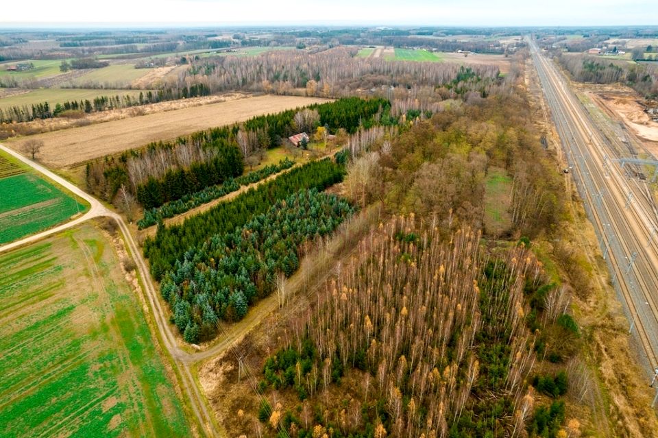 Działka usługowa Powązki