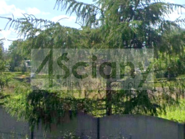 Działka budowlana Szczęsne sprzedam