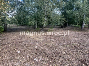 Działka budowlana Miłoszyce