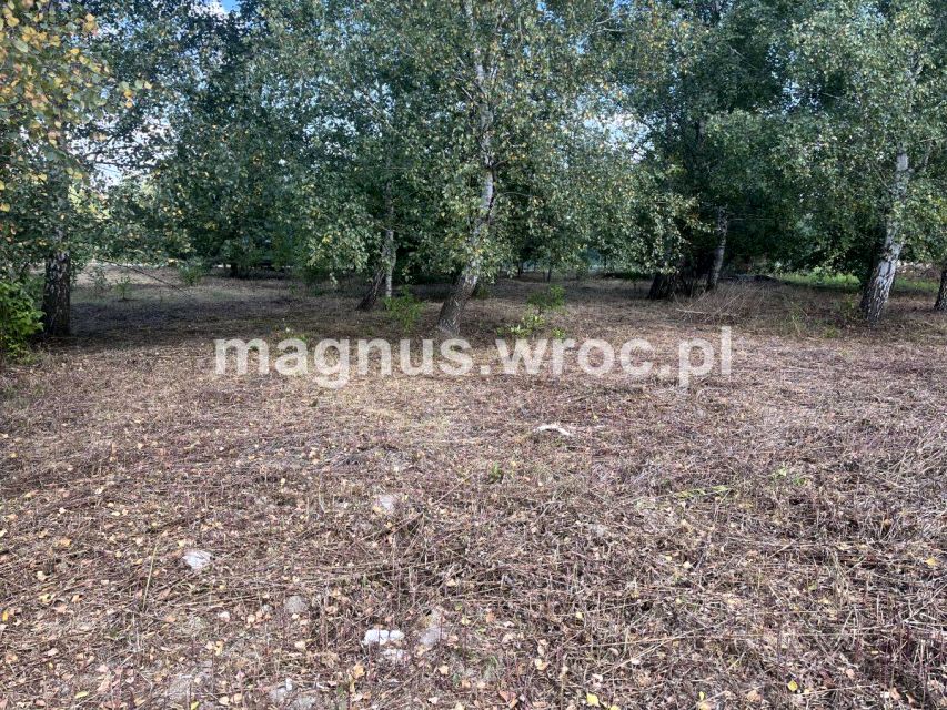 Działka budowlana Miłoszyce