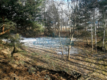 Działka budowlana Czosnów