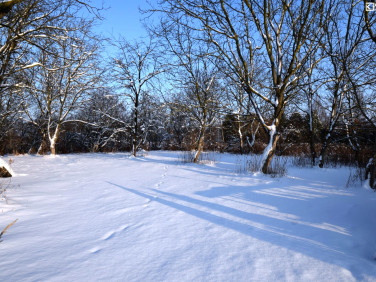 Działka budowlana Motycz