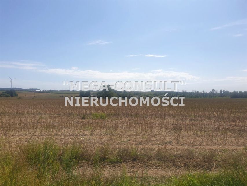 Zdjęcie 2
